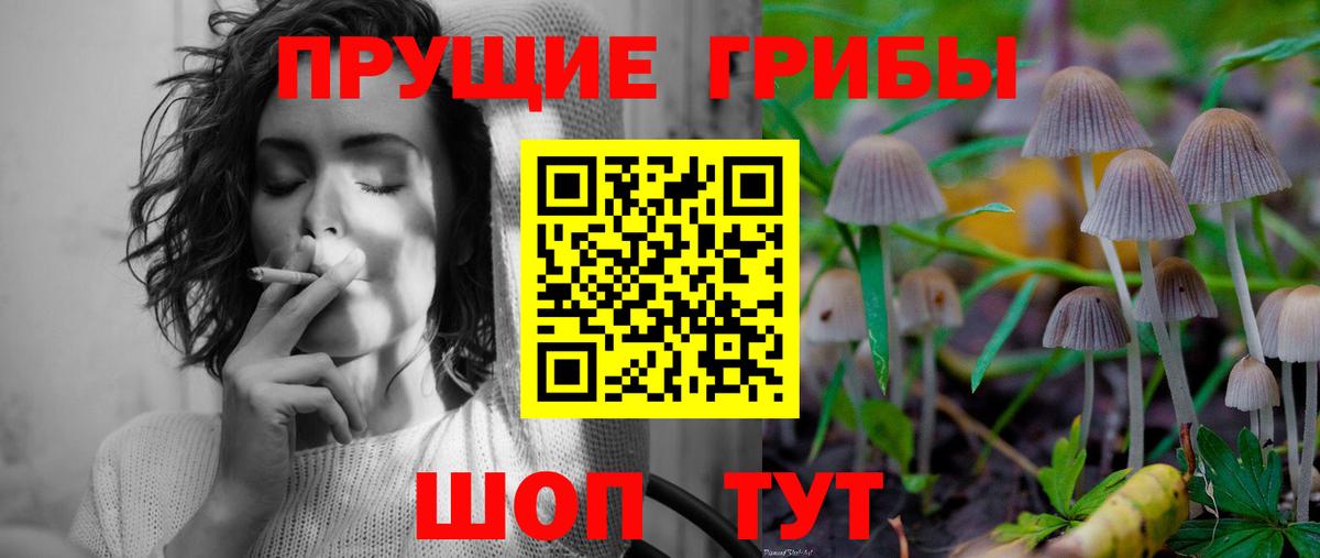 Галлюциногенные грибы прущие грибы Балашиха